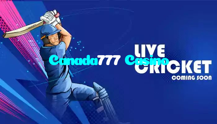 available types of Canada777 Casino bet including pre-match live express and system bets